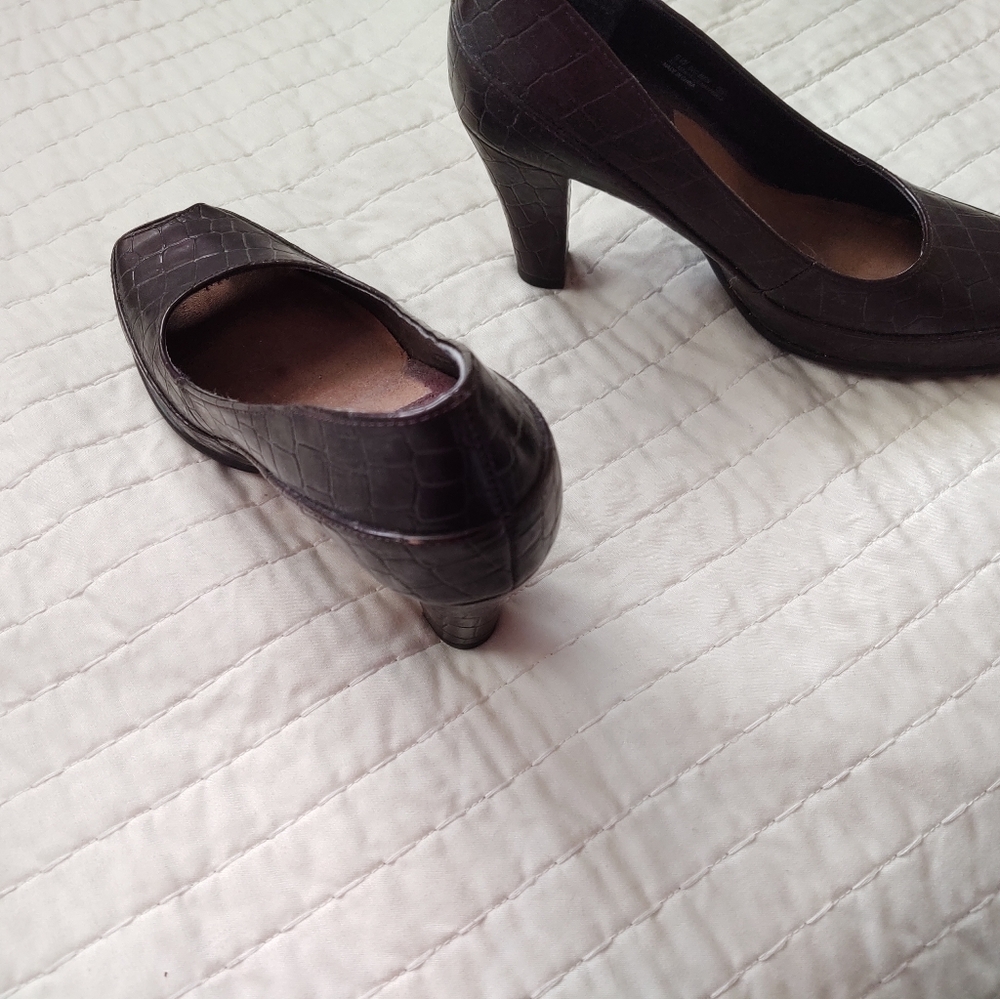Shies - Picture 4 of 4